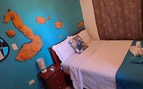 Suite Galarous Island